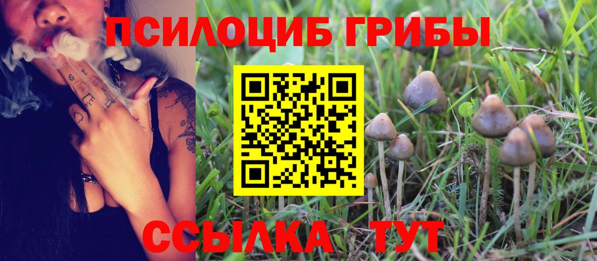 Псилоцибиновые грибы GOLDEN TEACHER Советская Гавань