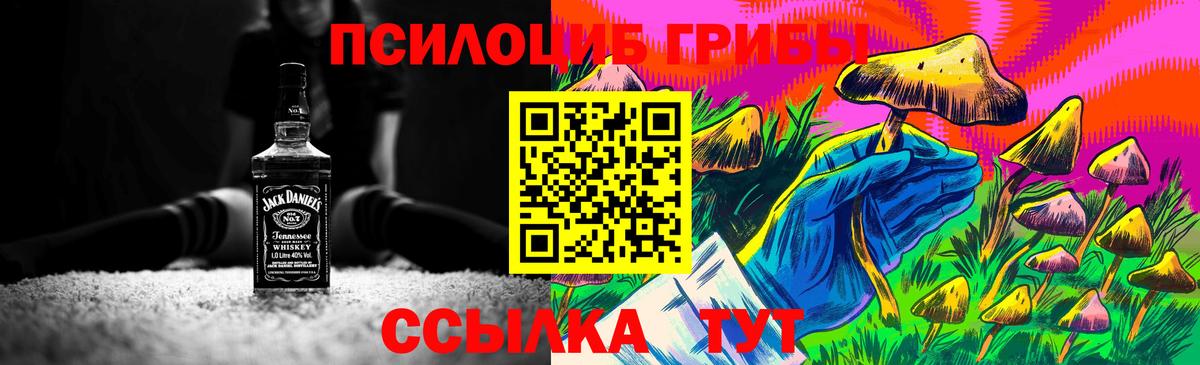 Галлюциногенные грибы Psilocybe  Галлюциногенные грибы ЛСД  Советская Гавань  Вход с VPN 